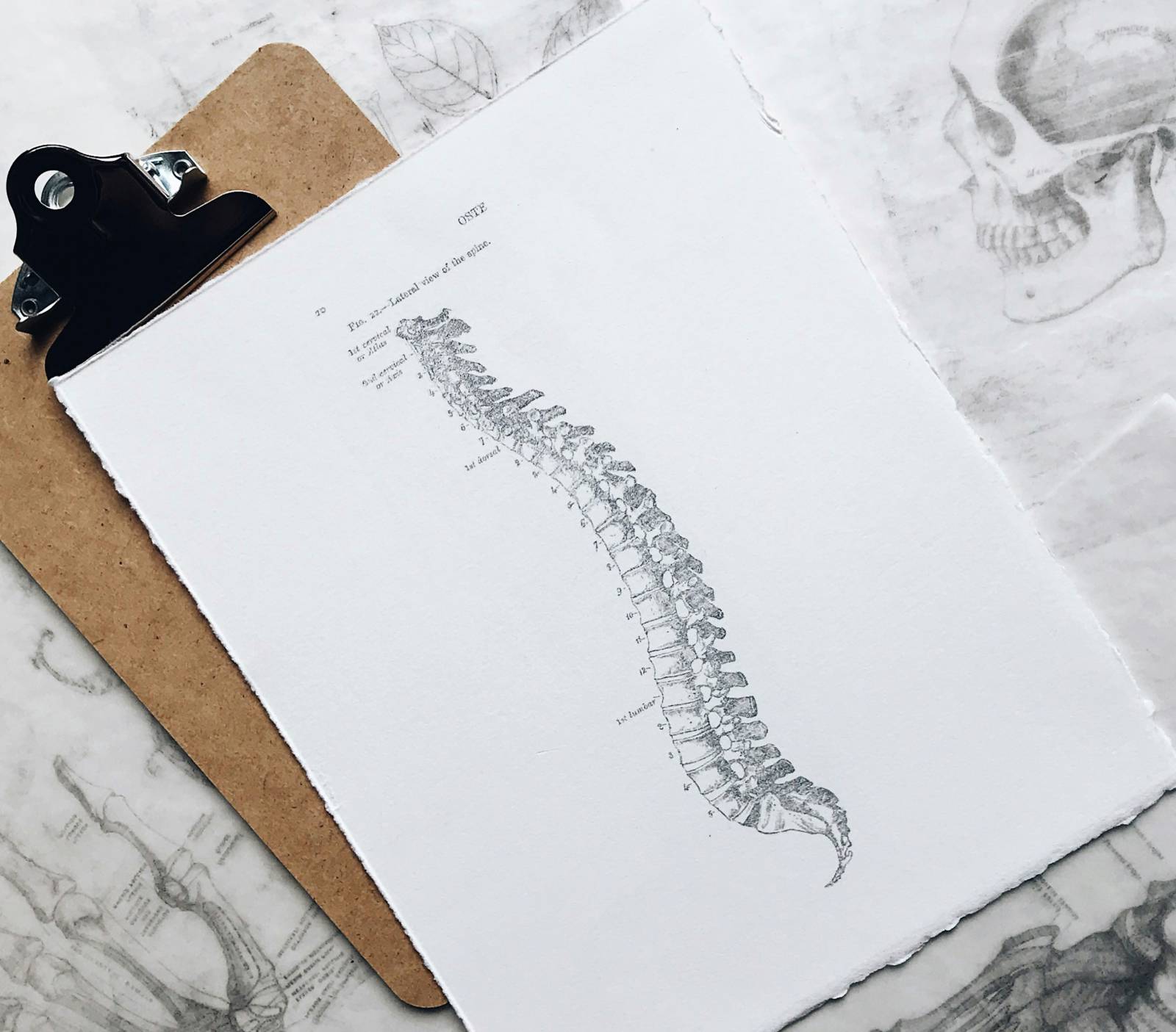 Où consulter un ostéopathe pour soulager une douleur sciatique proche du Pecq (78)